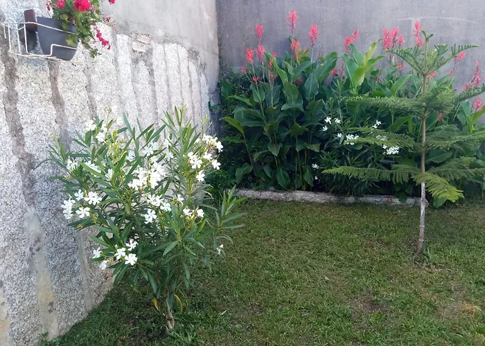A Chainita