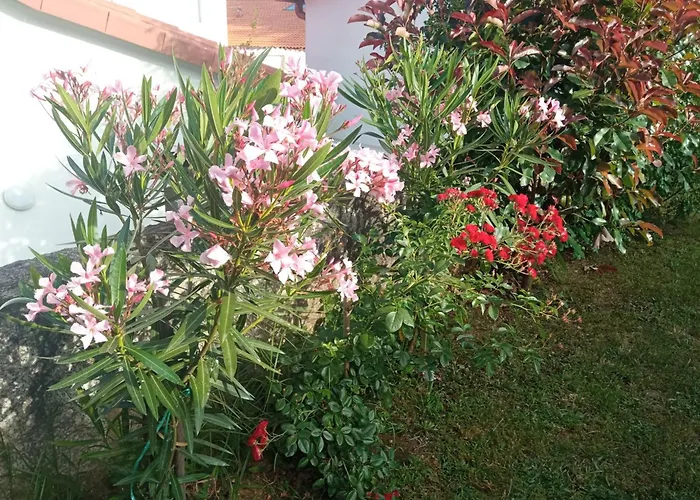 A Chainita