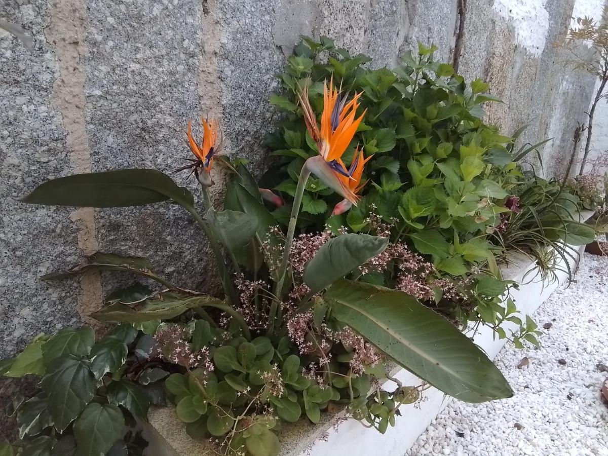 A Chainita * Caldas De Reis