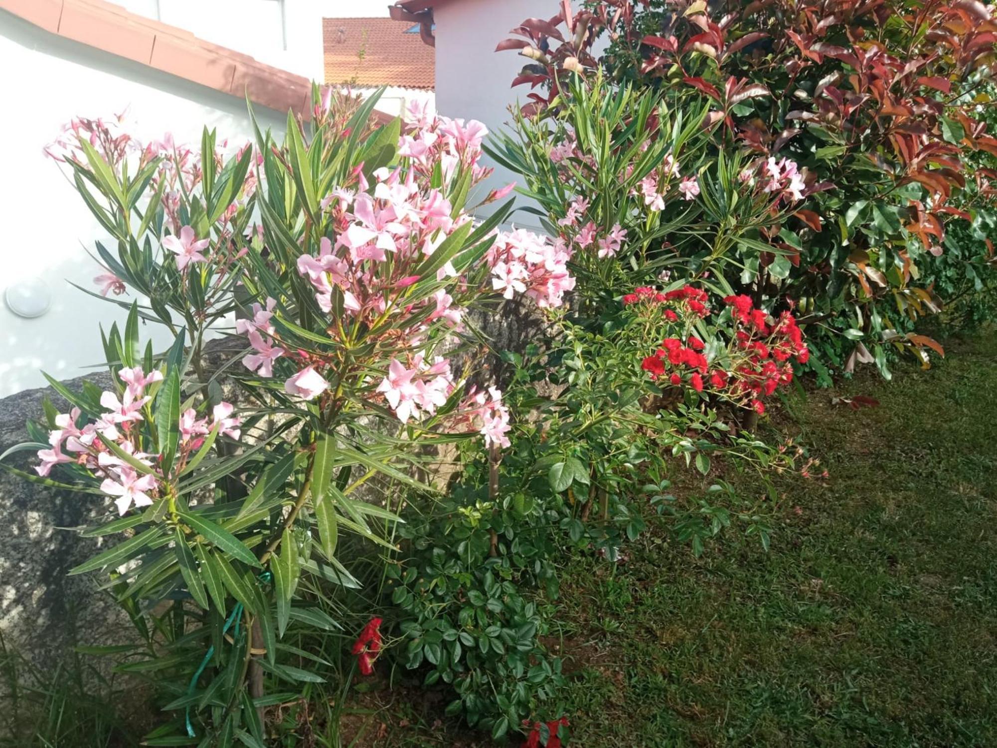 Holiday home A Chainita *
