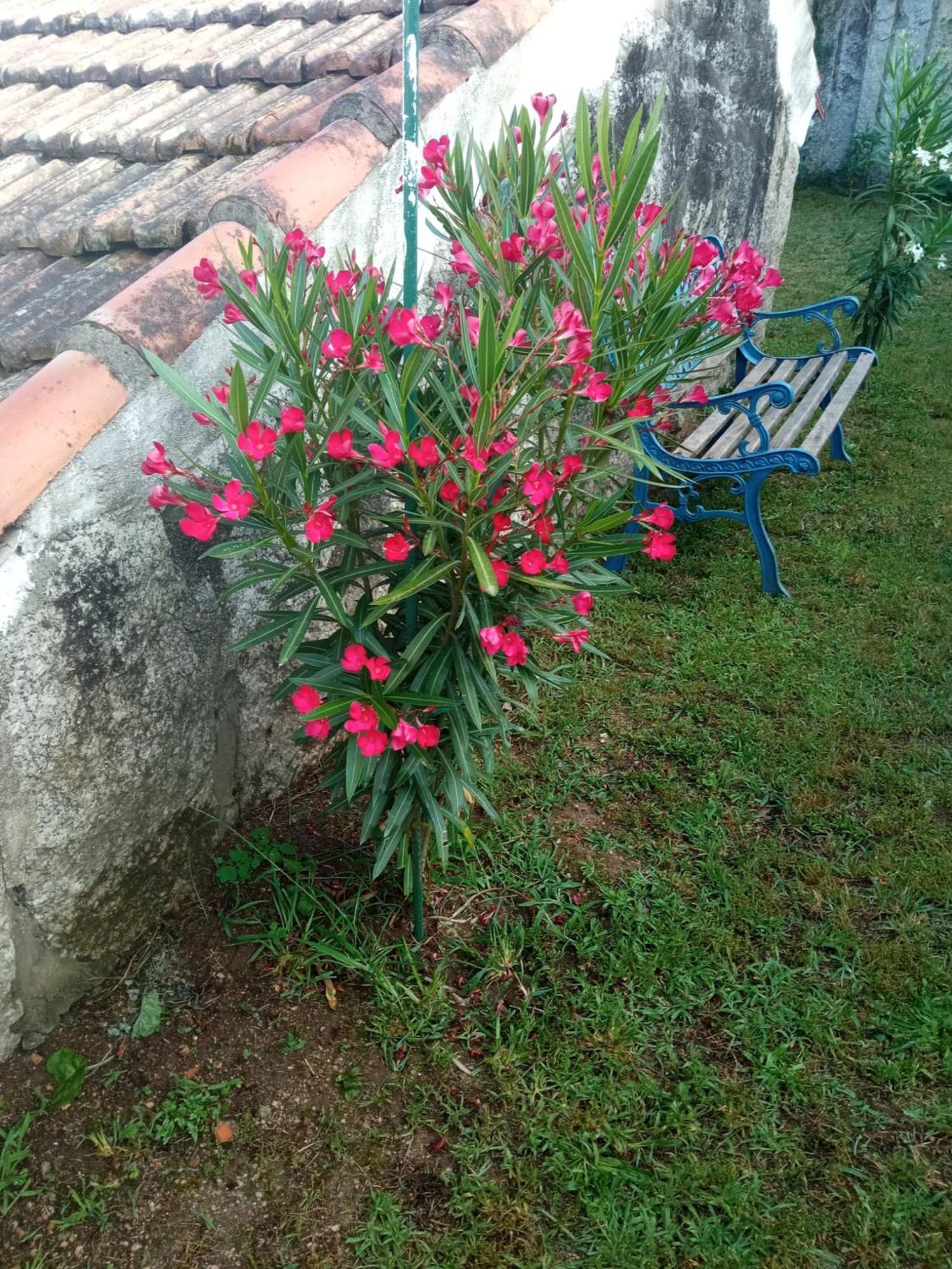 Holiday home A Chainita Caldas De Reis